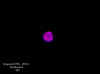 Closest to the Earth. 20 images stacked. 9.5 Lanthanum with Lumicon UHC filter.